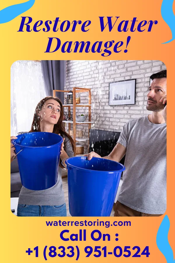 water restoration Pro Disaster Cleanup Pros Batavia