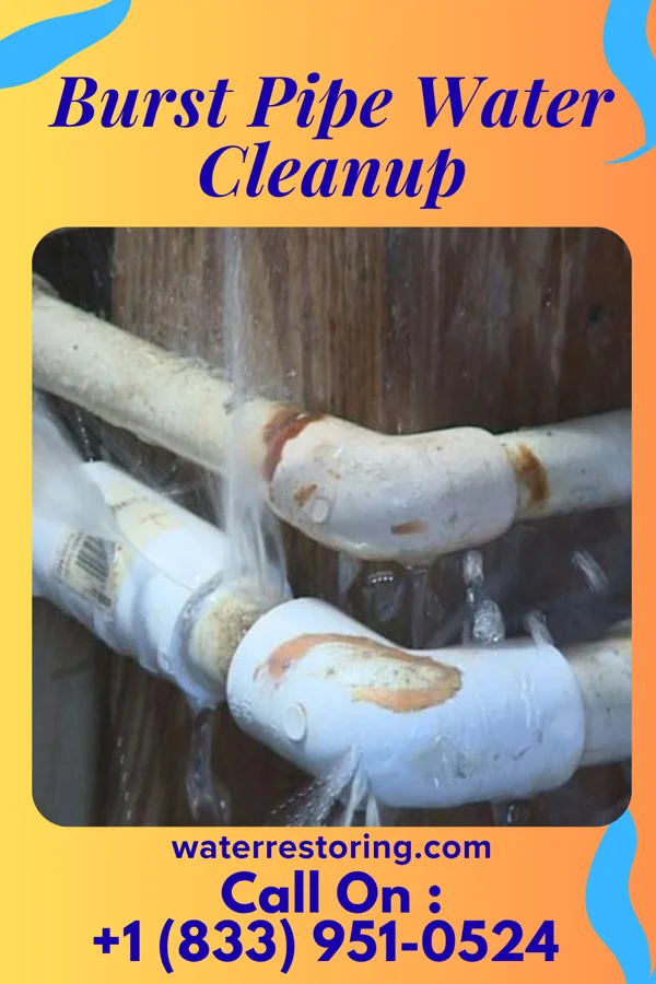 Burst Pipe Water Cleanup in Batavia, OH