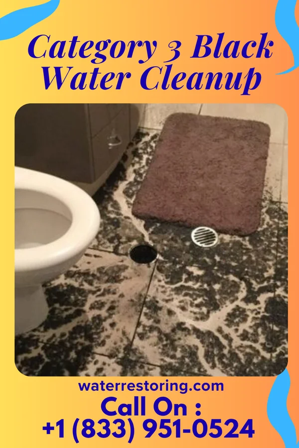Category 3 Black Water Cleanup in Batavia, OH