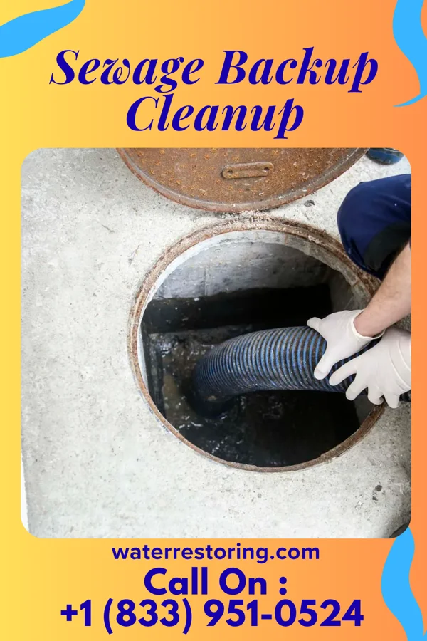 Sewage Backup Cleanup in Batavia, OH