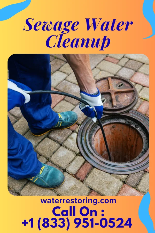 Sewage Water Cleanup in Batavia, OH